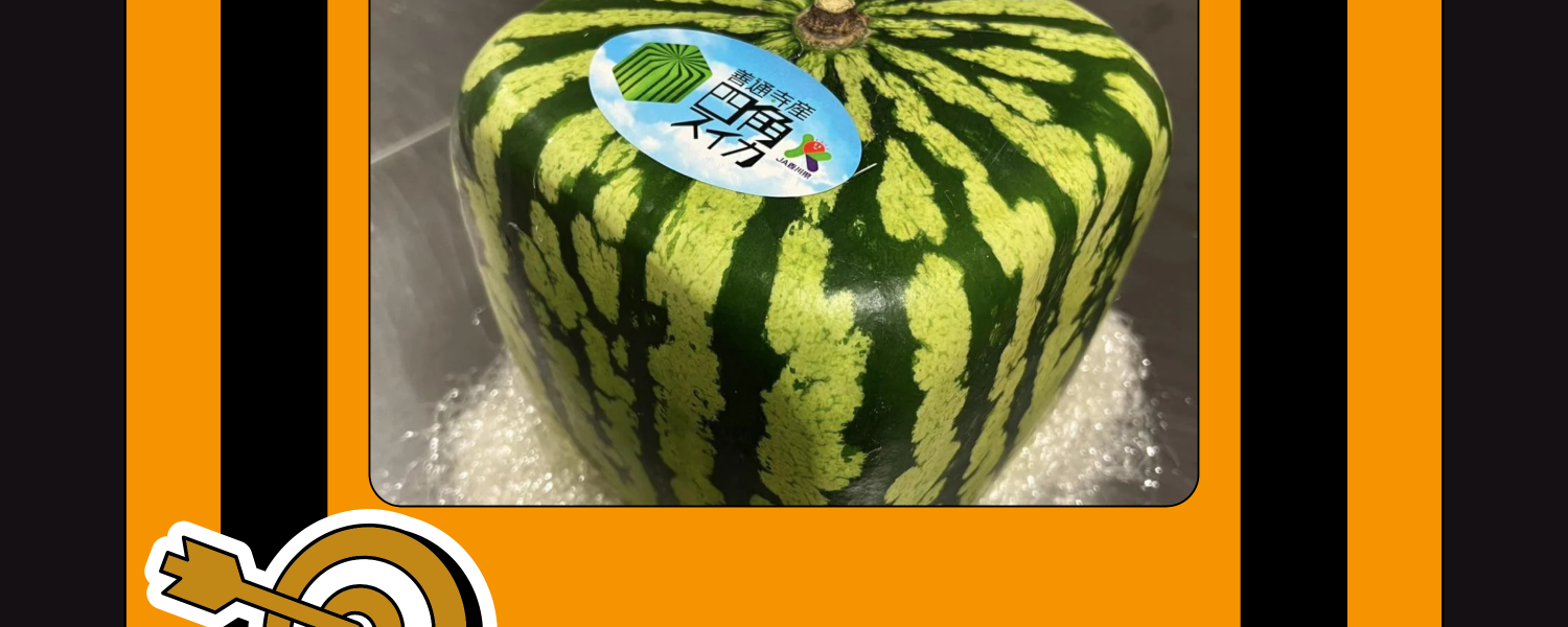 Japanese Square Watermelon