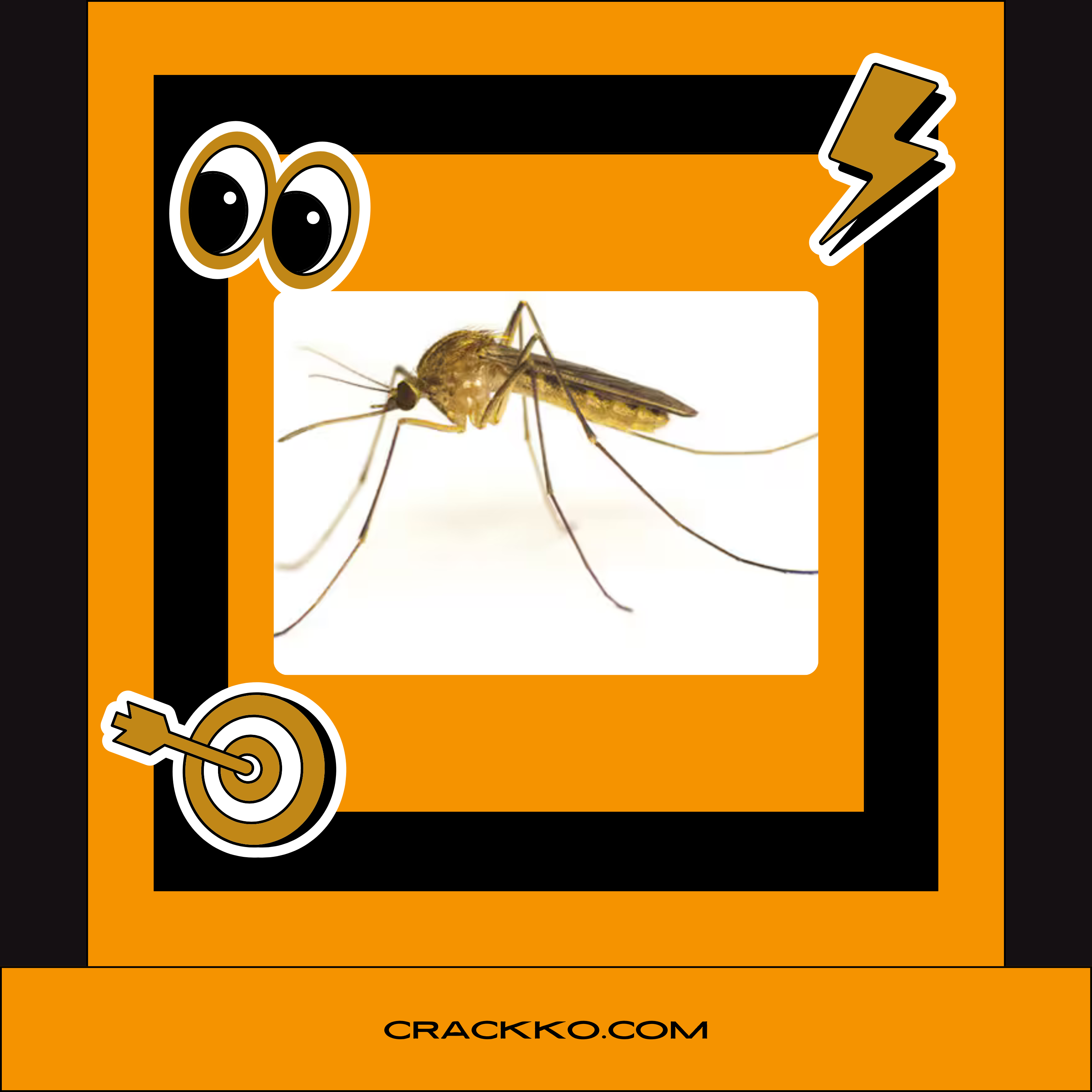 Is It True That Mosquitoes Prefer Lagosians? (We Investigated)